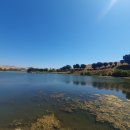 바람공원_R 이미지