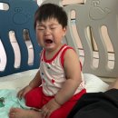 서연클린 | [채채육아일기] 돌잔치 치룬 승우수족구, 자전거 타다가 갈비뼈 금간 애엄마의 대학원 막학기 종강까지...