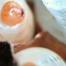 경북대학교 식물방역대학원 이미지