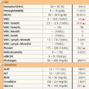 헤이븐동물병원 이미지