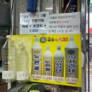 [목포 가볼만한곳] 목포역 핫플 유달콩물과 쑥꿀레(쑥꿀레는 평화광장)
