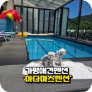 안말길 이미지