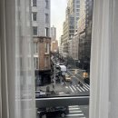 <한줄 철학> 철학자의 죽음 | I’d rather be famous instead🐈‍⬛