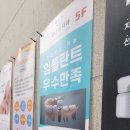 천안 두정동 백석동 임플란트 이벤트 덕분에 저렴했던 다나웰 후기