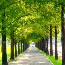 아름한의원 이미지