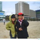 부산갈메기 이미지