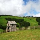 시선목장 이미지