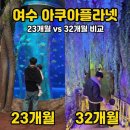 11545-03-32-61 | [여수 아쿠아플라넷🐋🐠🐡🦦] 아기랑 2회차 방문 후기 (23개월 vs 32개월 반응 비교/주차 꿀팁🚗)