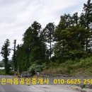 신산삼거리 이미지