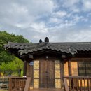 산삼꽃피는마을 이미지