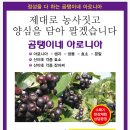 원주전단지