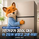 디오스모텔 | 삼성 냉장고 500리터 525L, 1인가구가 300L 대신 이 2도어 냉장고 고른 이유 [리뷰하는 제프]