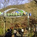 입곡군립공원(산림욕장) 이미지