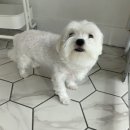 킨더그루밍 이미지