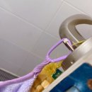 샤워하는 강아지 | 다이소 펫타월 1000원·2000원 솔직 후기｜강아지 타월 추천