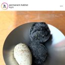 퍼머넌트 해비탯 permanent habitat