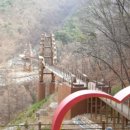 좌구산자연휴양림 이미지