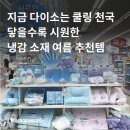 지에스25(GS25)서초모나코점 | 다이소 여름 추천템 | 올여름 무조건 사야 할 가성비 냉감 소재 쿨링 제품 총 정리