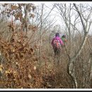 칠백농장 이미지