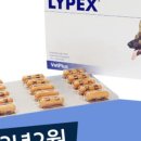 멍냥창고 이미지