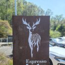 용인처인구카페 솔로투 분당점, 커피 오마카세로 특별한 주말 나들이