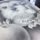 ALPO 에용 이미지