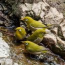 갯골근린공원 이미지