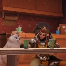 고양이PC&카페 이미지