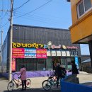 걸리버여행기 | 천진항 우도 전기차 대여 걸리버여행기 초보운전자 가능 우도코스추천 우도 리치망고후기