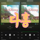 [다홍] 위키미키 Weki Meki [CoinciDestiny] 스트리밍 인증 이미지