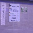 참치시연어군