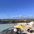 코난비치 이미지