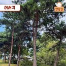 어서각御書閣 이미지