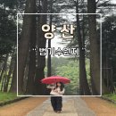 법기수원지 | 양산 산책하기 좋은 곳 법기수원지 이용방법 주차장 후기