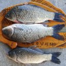 성호1좌대 이미지