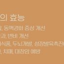 천미식품 네이버블로그