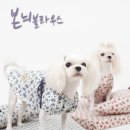 (주)다린 이미지