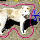 우리두리농장 이미지