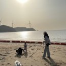 구름바다 독채 풀 빌라 이미지