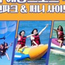 써니사이드업
