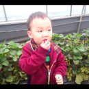 무내미농장 이미지