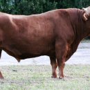 농가월령 이미지