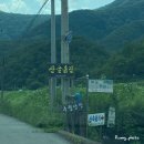 망성농협 | 영월 촌캉스 숙소 추천 ‘산골흙집’, 역대급 산뷰 힐링장소