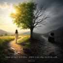 참기쁨약국 Daum카페