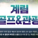 천하관광(주)