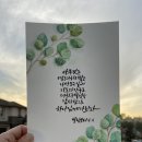 붓펜&수채캘리그라피 이미지