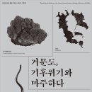 마주하다