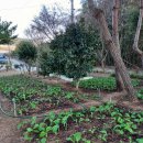 자명농장 이미지