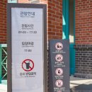 덕수궁 모던라이트 대한제국 황실조명 전시 후기