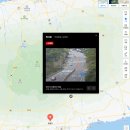 28 | 제주도 제주 웃물교 벚꽃 실시간 3/26-28 후기(CCTV, 개화시기)